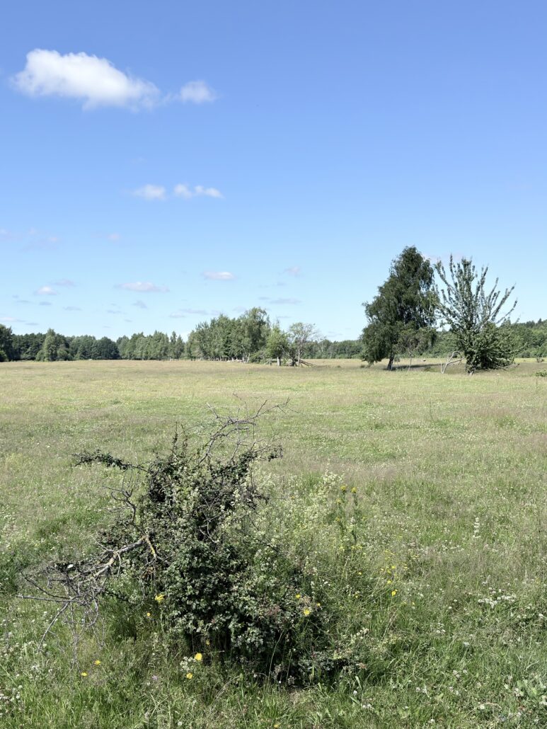 In einem Nationalpark und dann in einer Stadt, die tief berührt img 3156