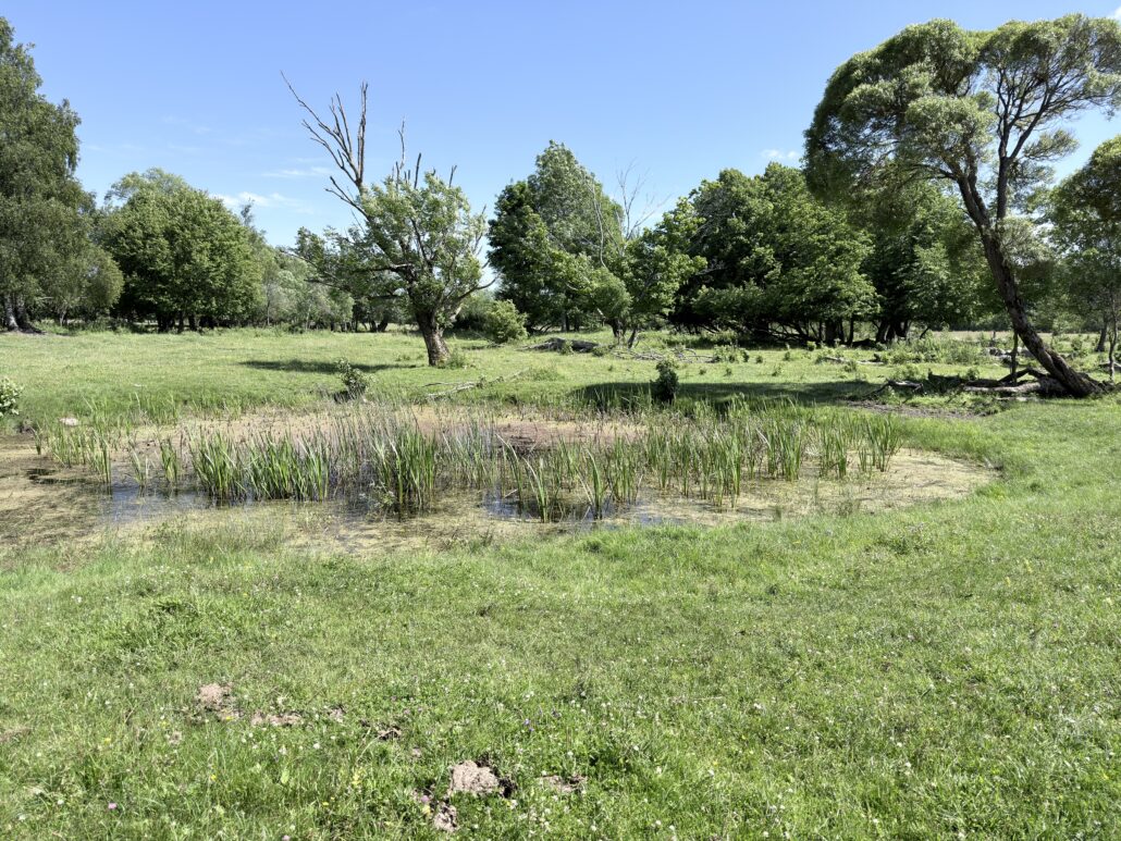 In einem Nationalpark und dann in einer Stadt, die tief berührt img 3178