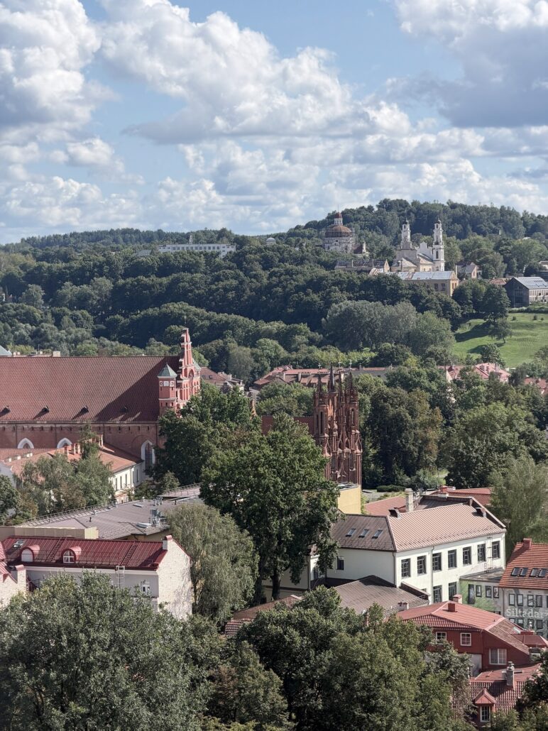 Vilnius img 6104